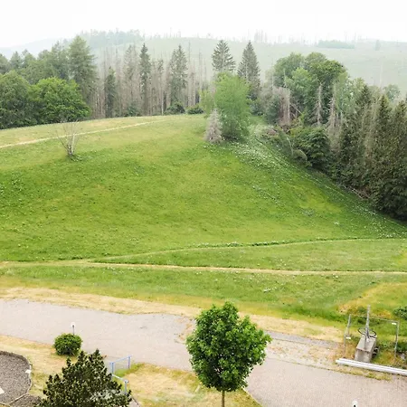 540, Oberharz, Mit Schwimmbad Und Sauna Apartment Braunlage